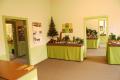 Pilzmuseum Reinhardtsgrimma, Bild 31