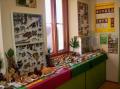 Pilzmuseum Reinhardtsgrimma, Bild 34